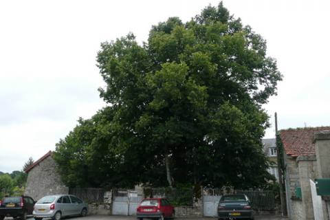 25_p1020622