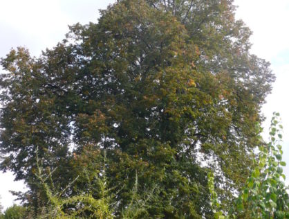 Le Theil 2