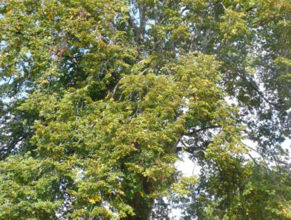 P1100576