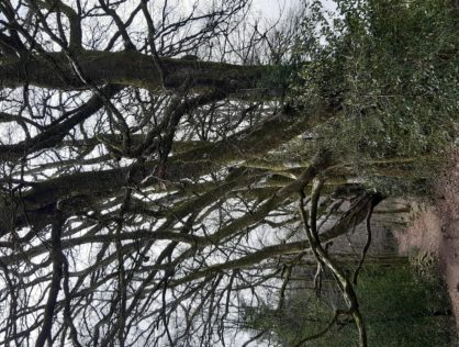 Arbrissou 2