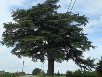 DSC03564 La Croix d’Arfeuille 1