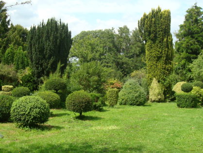 JARDIN DE TOPIAIRES