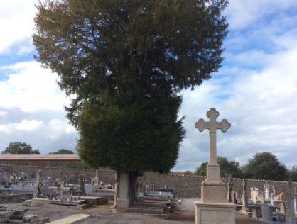 Basse Marche Blanzac 1