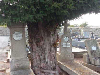 Basse Marche Blanzac 2