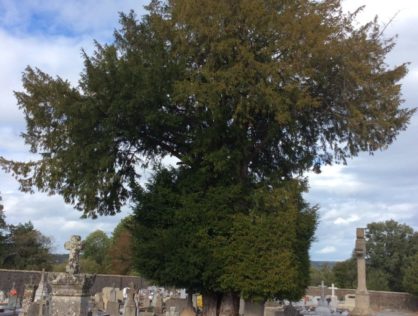 Basse Marche Blanzac 3