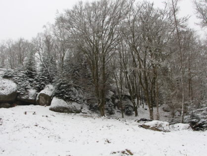 Hêtre Roche aux Fées Compreignac